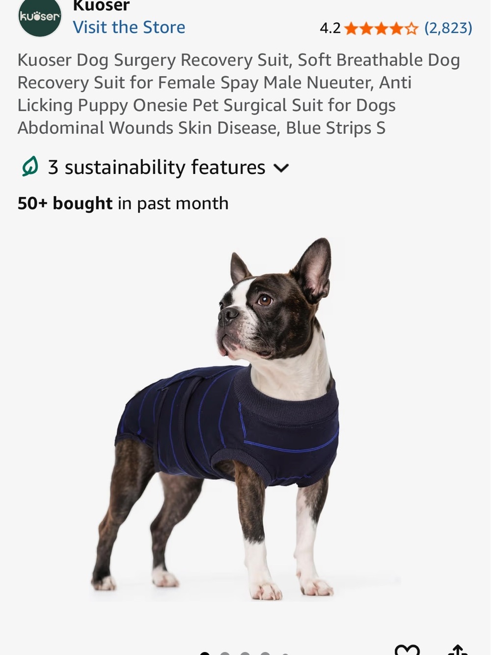 Small dog accessories - Picture 7 of 10